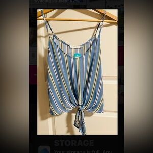 Lush Blue Striped Women's Top